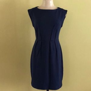 Ann Taylor Loft Women’s Sheath Style Dress